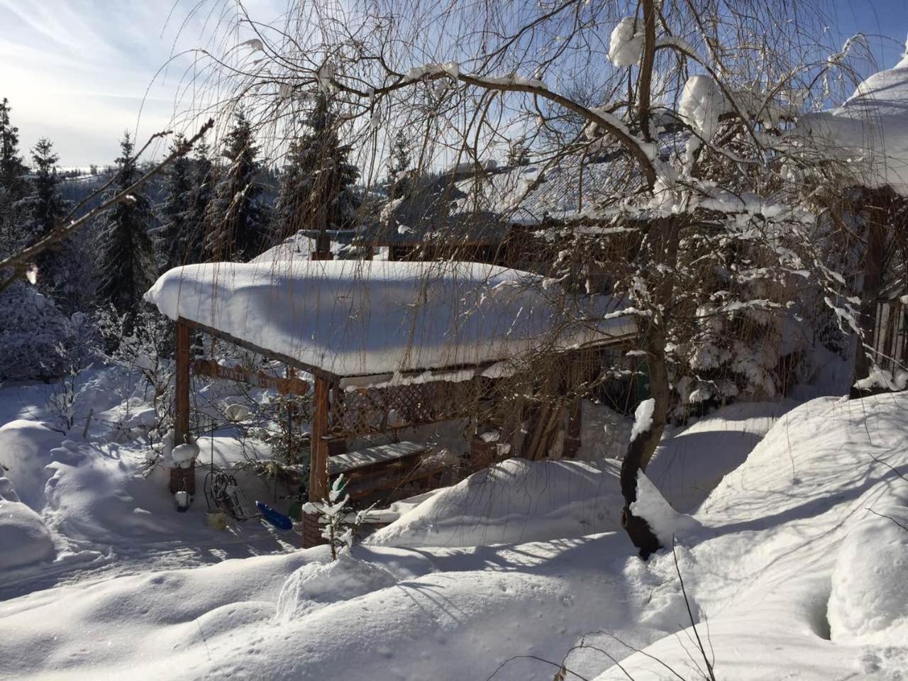 Біла Хижа Verkhne-Studenyy Exterior foto